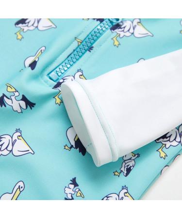 Bonverano Baby Boys Swimsuit - Pelican, 3-6 Months | UPF 50+ Sun Protection - Buy Online on GoSupps.com