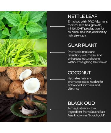 Black Oud Men's Shampoo & Beard Cleaner - Vegan Hypoallergenic Strengthener | 3.38 Fl Oz Pack - Buy Online on GoSupps.com