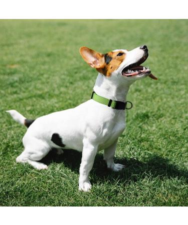 Audwud Adjustable Thick Nylon Dog Collar | Classic Neon Green | Sizes for Small Medium & Large Dogs | Durable & Comfortable - Buy Online on GoSupps.com