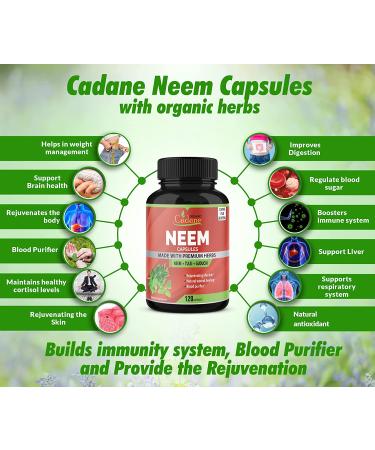 Neem Leaves Powder Capsules 2250mg with Tulsi Guduchi | Immune & Liver Support | Non-GMO Vegan | Skin Health & Antioxidants - Buy Online on GoSupps.com