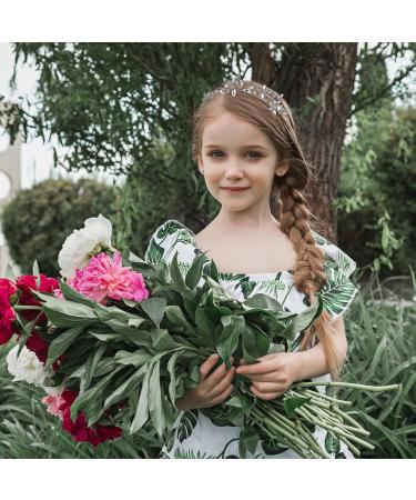 Crystal Bridal Hair Vine Bride Wedding Rhinestone Silver Bridal Hair Piece Crystal Headband Wedding Hair Pieces for Brides Silver Hair Accessories Hair Jewelry Wedding Headband for Women and Girls - Buy Online on GoSupps.com