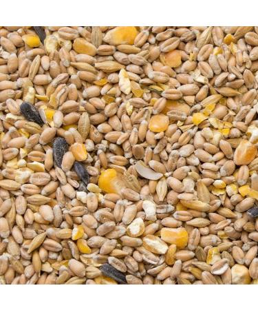 My Little Farm Bio-Hennenkorn 10 kg | Organic Chicken Feed for Laying Hens | Natural Whole Grain Poultry Mix Rich in Nutrients - Buy Online on GoSupps.com