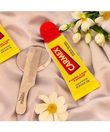 Moisturizing Lip Balm Squeeze Tube | 6-Pack Medicated Lip Balm with Cocoa Butter & Beeswax | Includes Wooden Comb for Dry Lips - Buy Online on GoSupps.com