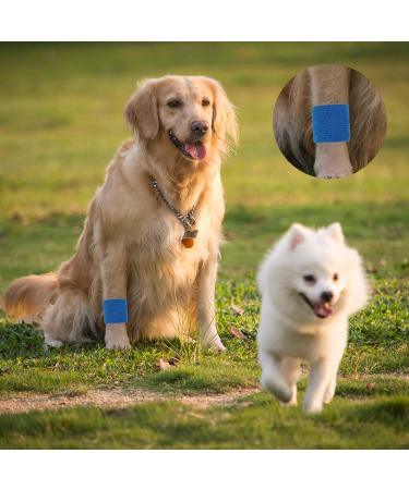 Mooerca 12 Pack Self Adherent Cohesive Wrap Bandages 2 x 5 Yards - Rainbow | Elastic Self Adhesive Tape for Sports Injuries - Wrist, Ankle & First Aid - Buy Online on GoSupps.com