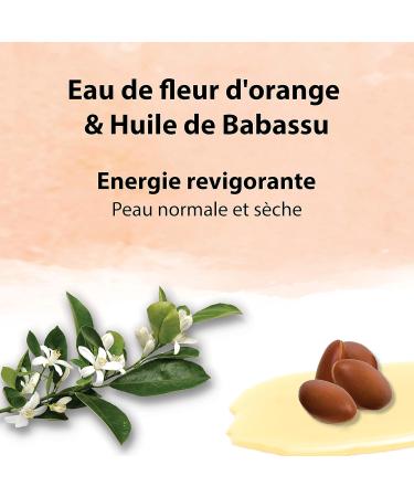 VANDINI Energy Women's Moisturizing Hand Cream with Orange Blossom & Babassu Oil - Hand Cream for Normal to Dry Hands - Free from Silicones Parabens and Mineral Oils (1x 75ml) - Buy Online on GoSupps.com