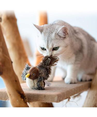 Suhaco Interactive Cat Feather Toy with Melody Chaser for Indoor Cats - Funny Squeak Kitten Toy for Boredom Relief - Buy Online on GoSupps.com