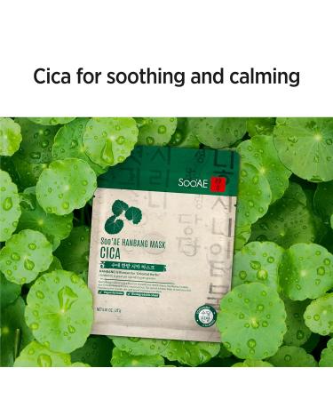 Soo AE Hanbang Cica Facial Mask - 12 EA | Soothing & Calming Korean Skincare Mask - Shop Internationally - Buy Online on GoSupps.com