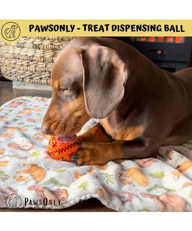 Pawsonly Dog Ball for Small & Big Dogs | Feeding & Intelligence Toy | 6cm Orange Natural Rubber | Dental Care & Puppy Toy - Buy Online on GoSupps.com