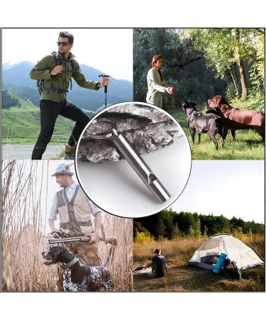 2PCS Mini Stainless Steel Survival Whistle for Camping, Hiking & Boating | Loud Emergency Whistle for Sporting Events | Call Your Dog - Keychain Included - Buy Online on GoSupps.com
