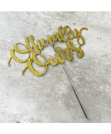 Officially Ours Cake Topper Happy Adoption Day Happy Gotcha Day Cake Topper Child Pet Adoption Party Supplies The Day I Got You Party Decoration Supplies - Buy Online on GoSupps.com