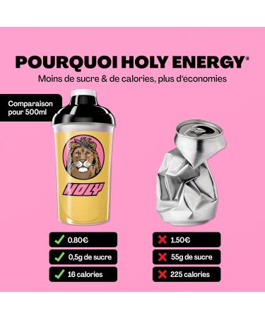 HOLY Energy Gaming Booster Bo te d'essai de 10 Lion's Lemonade avec go t de mangue & kiwi | 10 portions avec NewCaff & extrait de th vert | Focus Drink | Vegan avec ar mes de fruits 100% naturels - Buy Online on GoSupps.com