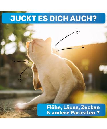 BluePet FlohGo Professional Flea & Lice Comb for Dogs & Cats Gentle Safe Rounded Teeth Pink | International Shipping Available - Buy Online on GoSupps.com