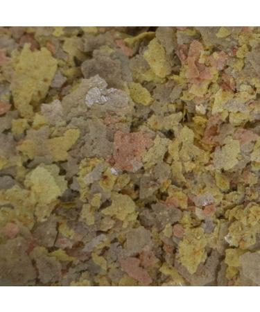 API Tropical Greens Flakes Fish Food - 1.1 oz | Premium Tropical Fish Nutrition - Buy Online on GoSupps.com