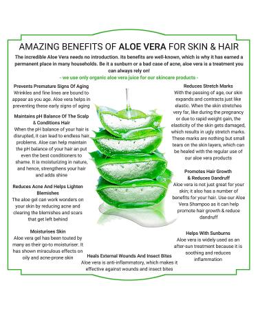 Mussa Canaria Bio Hand Cream Aloe Vera & Banana - 98% Natural Moisturizer for Cracked Dry Sensitive Skin - Soothing Care for Men & Women - 100ml - Buy Online on GoSupps.com