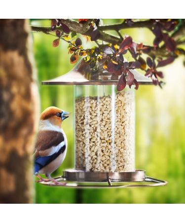 Paul's Mill Peanuts for Birds - Chopped Peanut Kernels 10 kg Pack | Premium Bird Food for Healthy Flocks - Buy Online on GoSupps.com