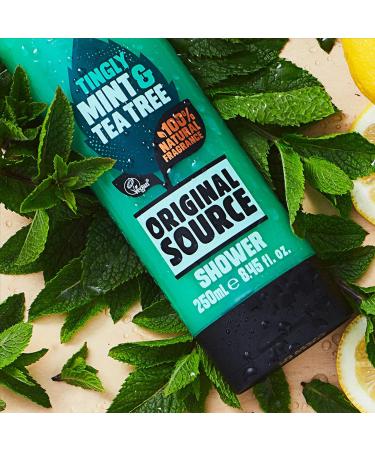 Buy Original Source Tea Tree & Mint Shower Gel 250ml - Refreshing & Revitalizing | Fast International Shipping - Buy Online on GoSupps.com