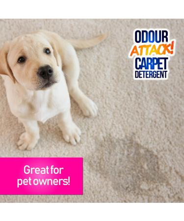 Pro-Kleen Odour Attack Carpet Solution Shampoo 1L Ocean Fresh - Active Enzyme Cleaner Eliminates Urine Faeces Vomit Stains Odours from Dogs Cats Humans For All Carpet Types - Buy Online on GoSupps.com