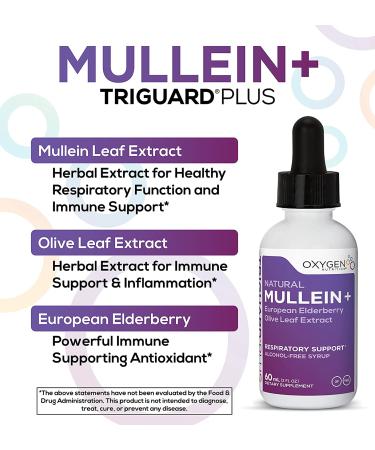 TriGuard Mullein Plus - Mullein, Elderberry & Olive Leaf Extract | 2 fl oz | Supports Respiratory Health & Immune System | Alcohol-Free & Non-GMO - Buy Online on GoSupps.com