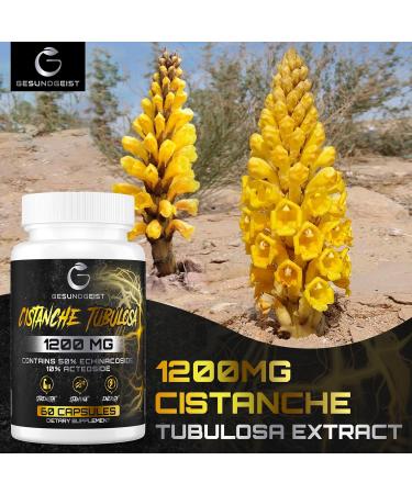 Gesundgeist Cistanche Tubulosa Extract 1200mg - Pack of 1 -  60 Capsules - Buy Online on GoSupps.com