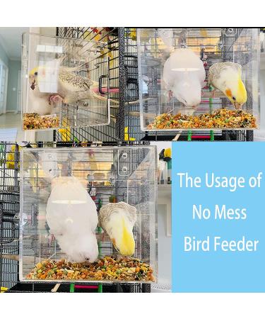 Acrylic Bird Feeder for Cage - Automatic Seed Container & Water/Food Holder - No Mess Solution for Parrot Parakeets - 6.4 x 6.4 - Buy Online on GoSupps.com