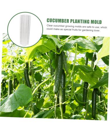 Balacoo 6 Pcs Vegetable Shaping Mold Planting Molds Strawberry Growing Mold Garden Watermelon Stereotypes - Buy Online on GoSupps.com