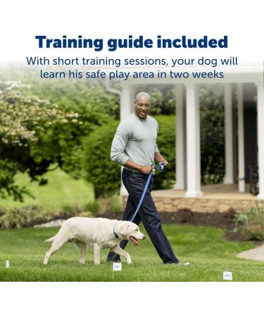 PetSafe Stay + Play Wireless Fence Receiver Collar for Dogs and Cats Waterproof and Rechargeable Tone and Static Stimulation Receiver Collar Only - Buy Online on GoSupps.com
