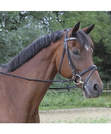 Kerbl Belt Wing for Warmbloods - Black | Premium Equestrian Gear | International Shipping - Buy Online on GoSupps.com