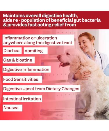 Slippery Elm Powder Tree Barks Powder for Dogs 150g Dog Acid Reflux Treatment Supported with Dog Probiotics Daily Supplement for Upset Tummy & Constipation - Buy Online on GoSupps.com