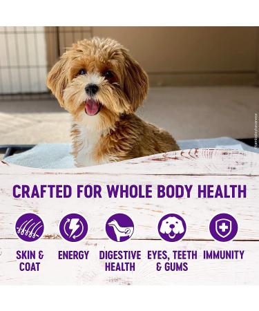 Wellness Complete Health Small Breed Dry Dog Food - Natural Turkey Recipe, 4lb for Puppies, Adults & Seniors | Made in USA - Buy Online on GoSupps.com