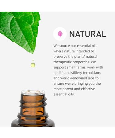 Rocky Mountain Oils Organic Tea Tree Essential Oil - 100% Pure & Natural Aromatherapy for Skin Hair & Diffuser - Therapeutic Grade USDA Approved - Buy Online on GoSupps.com