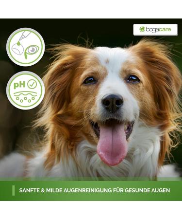 Bogacare Perfect Eye Cleaner for Dogs - Effective Tear Stain Remover | Safe & Non-Burning Formula | 100% Satisfaction Guaranteed - Buy Online on GoSupps.com