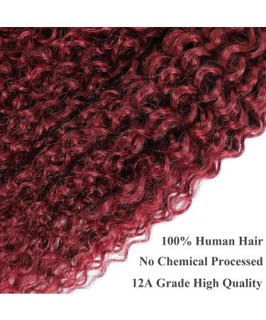 12A Grade 99j Burgundy Water Wave Hair 3 Bundles with Closure - Brazilian Virgin Remy Wine Red Ocean Wave Hair Extensions (12 14 16+10) - Buy Online on GoSupps.com