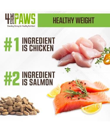 4 STRONG PAWS Chicken and Salmon Dry Puppy Food - 28 Pound High Protein Puppy Food - Grain Inclusive Dog Food for Healthy Dog Bones Chicken and Salmon Grain Inclusive 12.7 kg (Pack of 1) - Buy Online on GoSupps.com