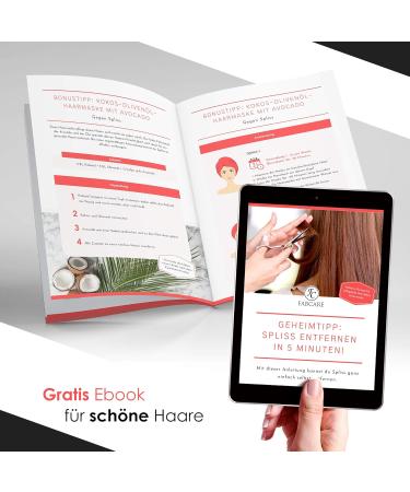 Fabcare Professional Effilator Scissors - 5.5 Extra Sharp Thinning Scissors with Comb & Etui | Premium Hairdresser Tools - Buy Online on GoSupps.com