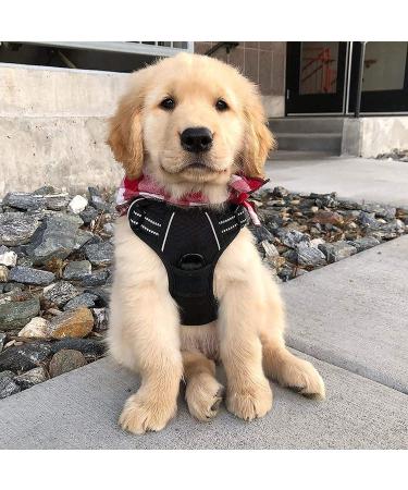 Rabbitgoo Medium Dog Harness - No Pull Adjustable Breathable Safe Control for Large Dogs - Black - Buy Online on GoSupps.com