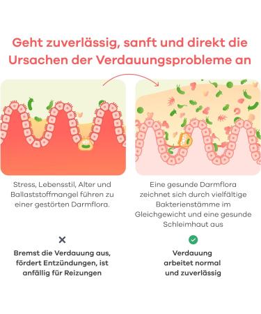 Buy Apriwell Intestinal Culture Complex - Fructose-Free Probiotic with 5 Lactic Acid Bacteria & Biotin | Vegan | Stomach Resistant | 30 Capsules - Buy Online on GoSupps.com