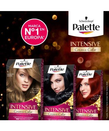 Tinte Schwarzkopf Palette Intense Color Cream n 1.1 Negro Azulado - Buy Online on GoSupps.com