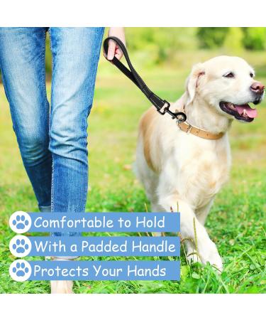Short Dog Leash with Padded Handle | Reflective Nylon for All Dog Sizes | 32cm Training Leash - Buy Online on GoSupps.com