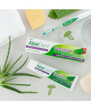 Aloe Dent Sensitive Aloe Vera Toothpaste - Fluoride Free, Vegan, Cruelty Free, 100ml (Pack of 1) - Buy Online on GoSupps.com