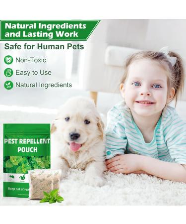 Mixrug 8 Natural Mouse Repellent Pouches Peppermint Oil Mice Repellent Indoor for Mice  - Buy Online on GoSupps.com