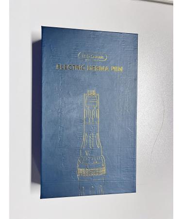 Derma Pen Hair Beard Growth INCELLICE Microneedling Pen 0.25-2.0mm Adjustable 5 Speeds Wireless Use Professional Electric Beauty Pen for Face Skin Care with 2 Replacement Cartridges and USB Charger Dermapen P40-Gery - Buy Online on GoSupps.com