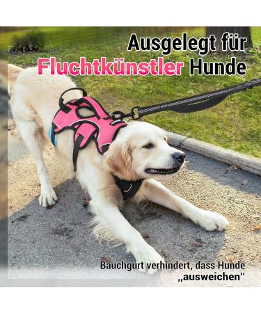 Rabbitgoo Breaking-Safe Dog Harness for Medium Dogs - Adjustable Breathable Padded Vest with Handle - Ideal for Training & Safety - Pink - Buy Online on GoSupps.com
