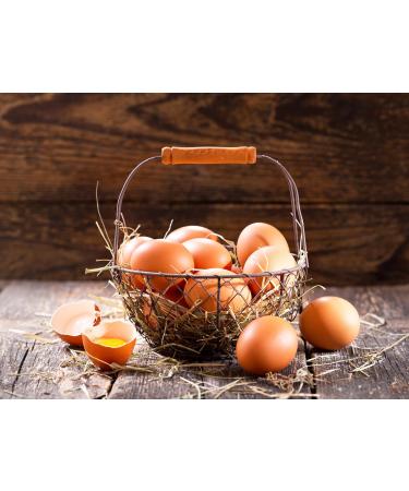 Pure 100% Egg Protein Powder - Natural Chicken Egg Whites | Einprotein 1250g Bucket - Buy Online on GoSupps.com