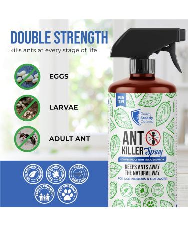 READY STEADY DEFEND Ant Repellent Spray Natural Ant Killer Long-Lasting Formula ersatile for Indoor & Outdoor Use Effective Ant Control Solution - 6.76 Oz - Buy Online on GoSupps.com