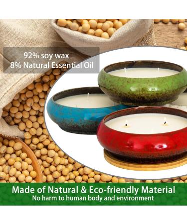 Buy Large 3-Wick Lemon Scented Candles | 17oz Aromatherapy Gifts for Women | Natural Soy Decorative Candles for Home - Perfect for Mother s Day & Anniversaries - Buy Online on GoSupps.com