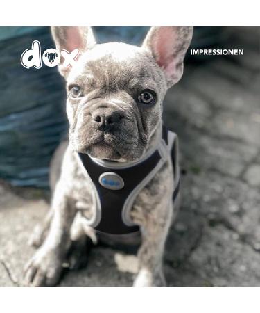 DDOXX Reflecting Airmesh Step-in Dog Harness - Adjustable XL for All Sizes | Black (Neck 42-58 cm Breast 52-76 cm) - Perfect for Puppies and Small Dogs - Buy Online on GoSupps.com