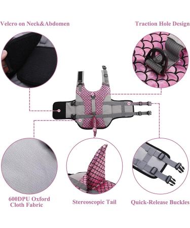 Dog Chimney Swimming Aid | High Buoyancy & Rescue Handle for Safe Dog Swimming - Buy Online on GoSupps.com