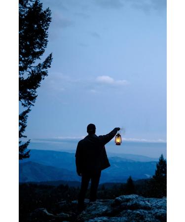 Stansport Replacement Lantern Wicks - 5 Pack | Quality Camping Supplies - Buy Online on GoSupps.com