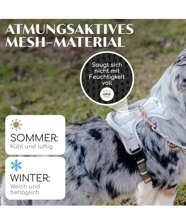 Freudenier Dog Harnesses - Breathable Bombproof Seat & Anti-Drawing Design for All Dog Sizes - Shop Now! - Buy Online on GoSupps.com