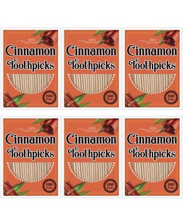 600 Picks Cinnamon Flavored Toothpicks Bulk Cinnamon Toothpicks for Adults Oral Hygiene Teeth Dental Care Cinnamon Flavor 6 Pack